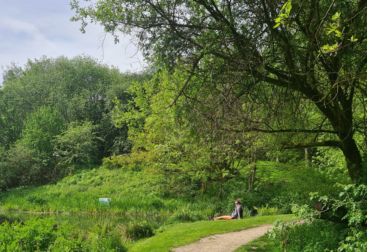 Neuro In Nature CIC tweet media