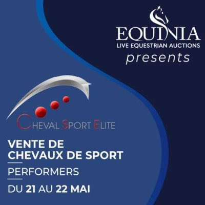 Cheval Sport Élite tweet media