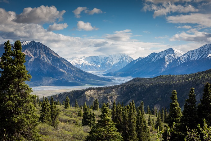 bambooshooti's tweet image. “Only when the last tree has died and the last river been poisoned and the last fish been caught will we realize we cannot eat money.”
— Cree Proverb
#ResistanceEarth
#MotherEarth
(Photo by Kalen Emsley on Unsplash)