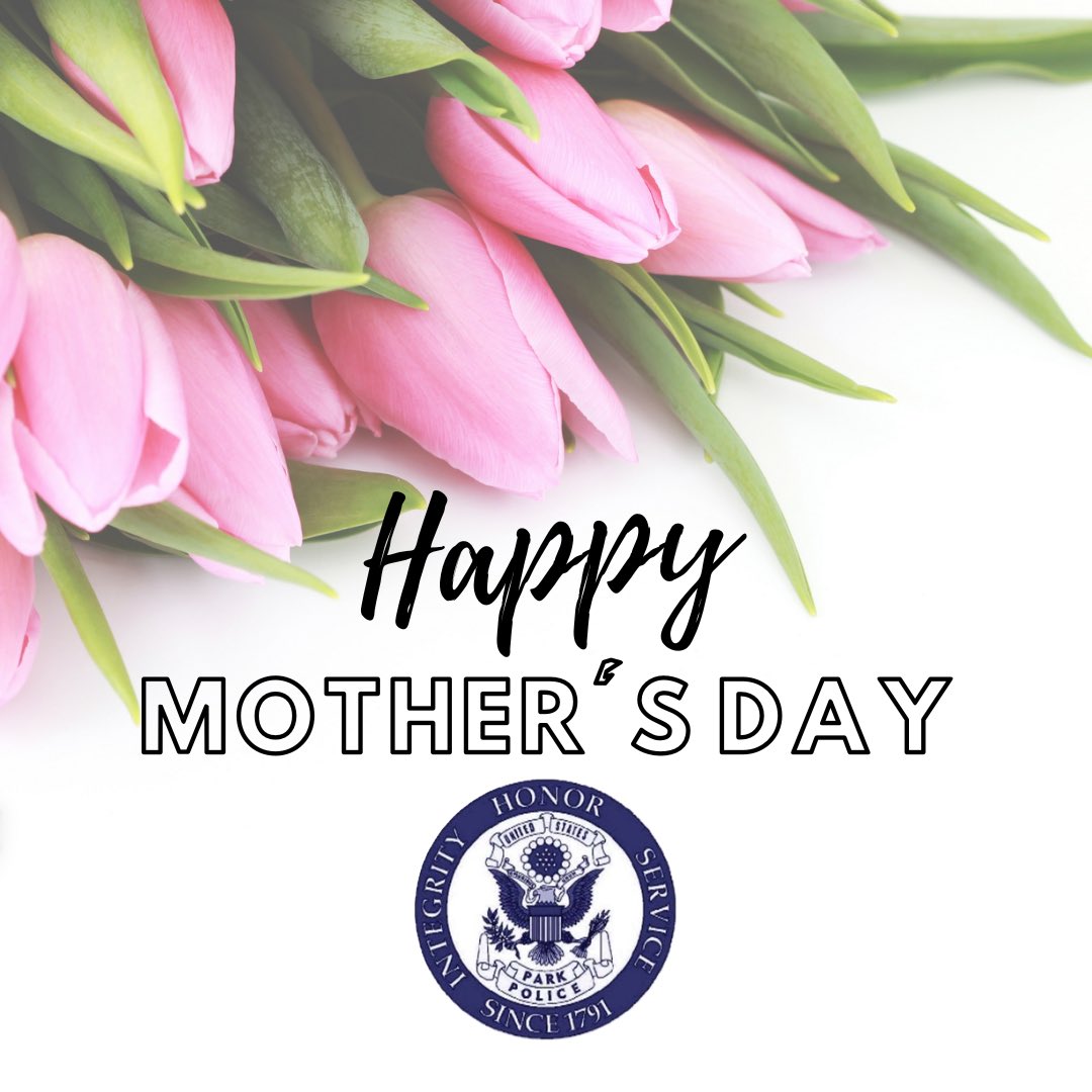 USPPNEWS tweet media