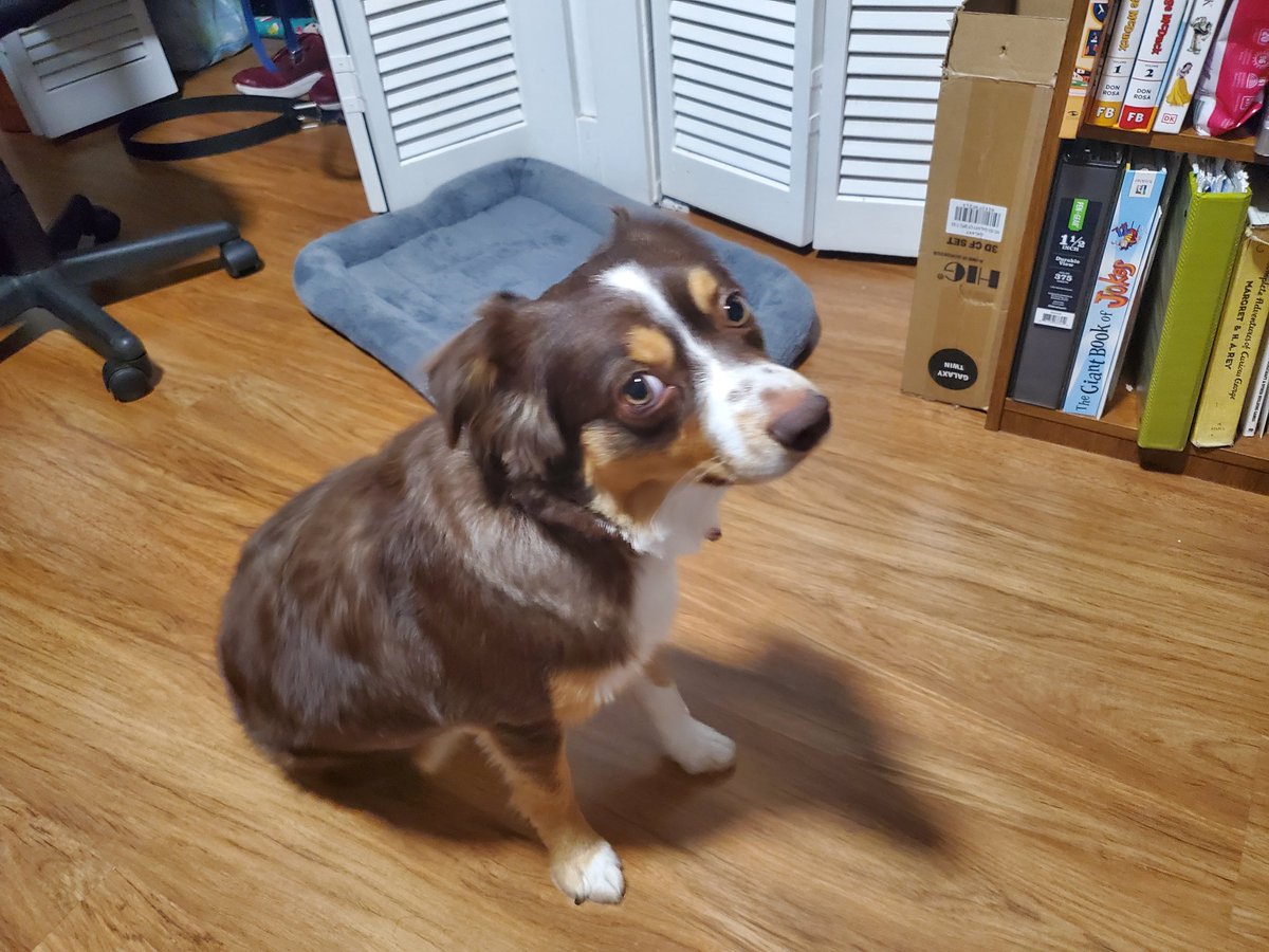 CreativeRazor's tweet image. Chloe: "Hey, y'all!"