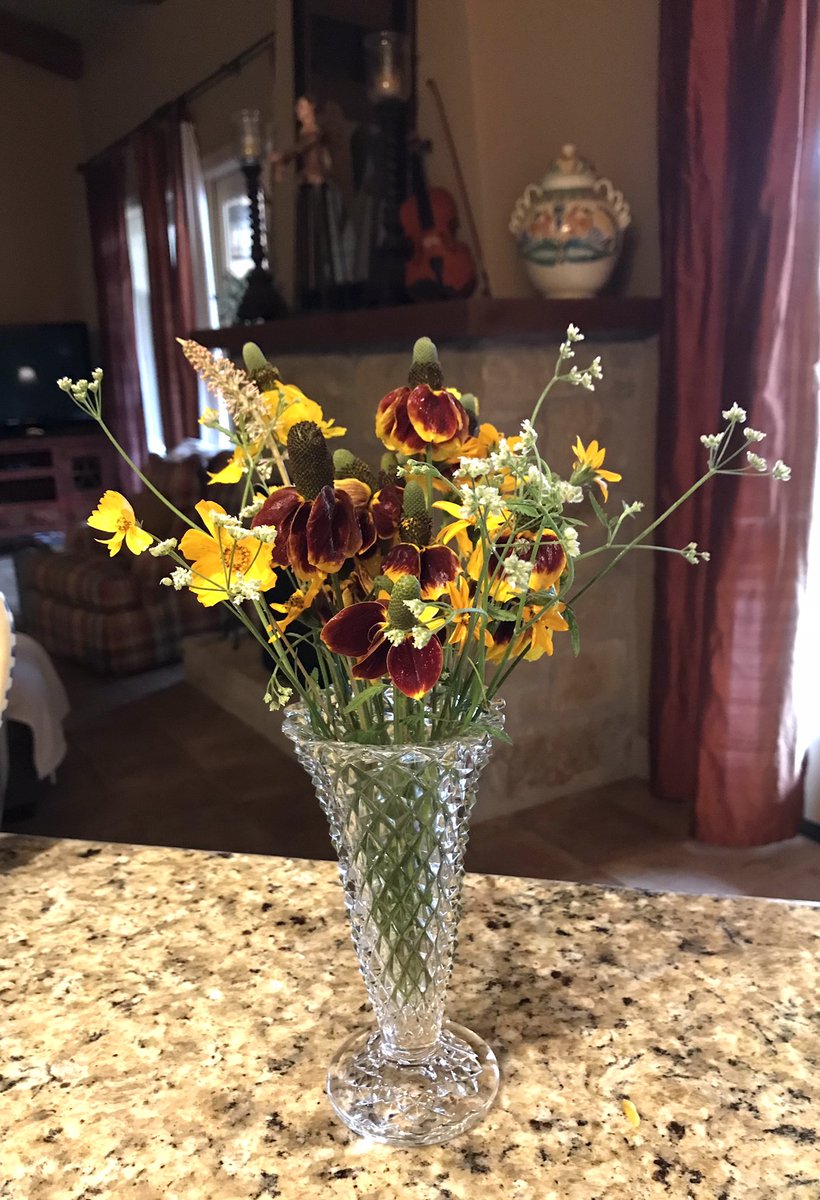 MaryEHoffman8's tweet photo. May showers brought beautiful Mother’s Day wildflowers here in the Hill Country! https://t.co/nCyhg2KcqZ