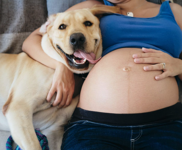 CrossRdsCampus's tweet photo. Happy Mother's Day to all the moms of two-legged, four-legged, and three-legged kids.
#mothersday #moms #dogmom #catmom #supportsunday #nashville #615 #dogsofnashville #catsofnashville #adoptdontshop #momsday https://t.co/wtyl8UpwyT