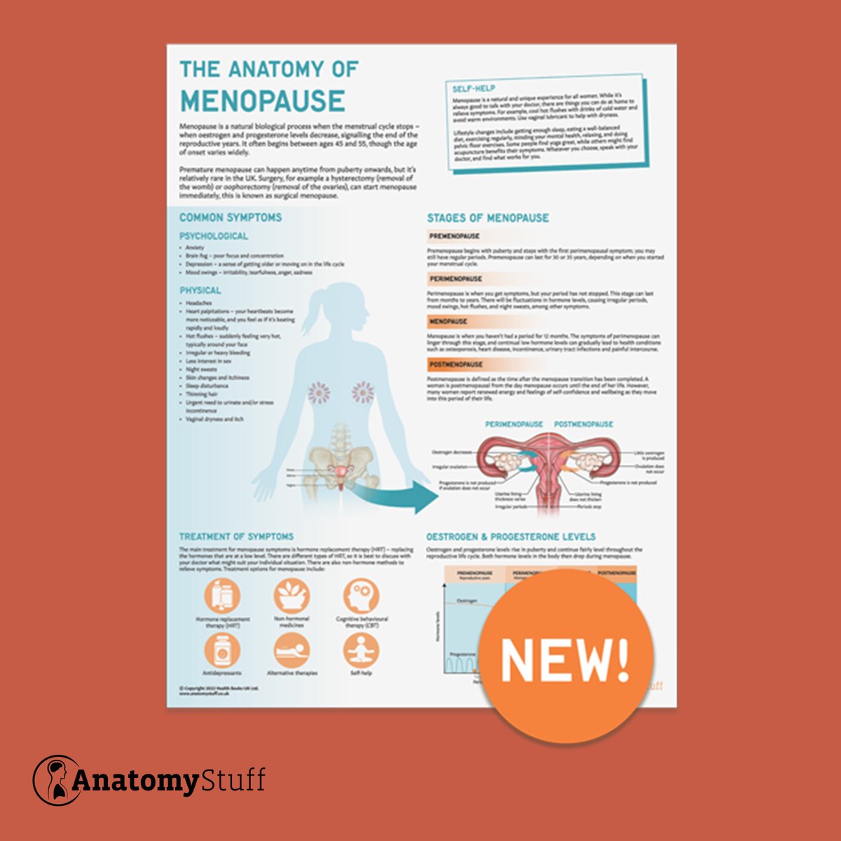 AnatomyStuff tweet media