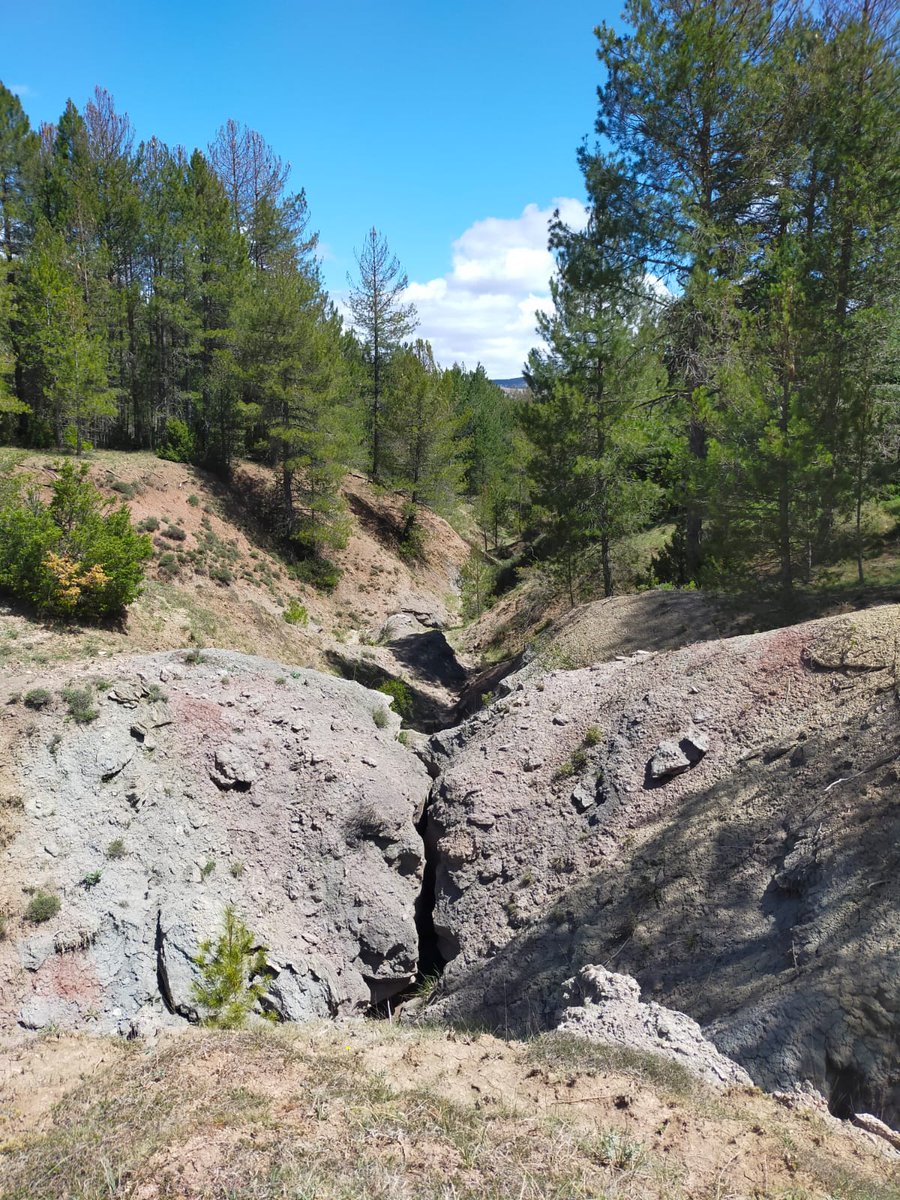 comcu's tweet image. Revisando los trazados del XI Trofeo Serranía de Cuenca.
Valdemeca. 10 y 11 de junio de 2023.