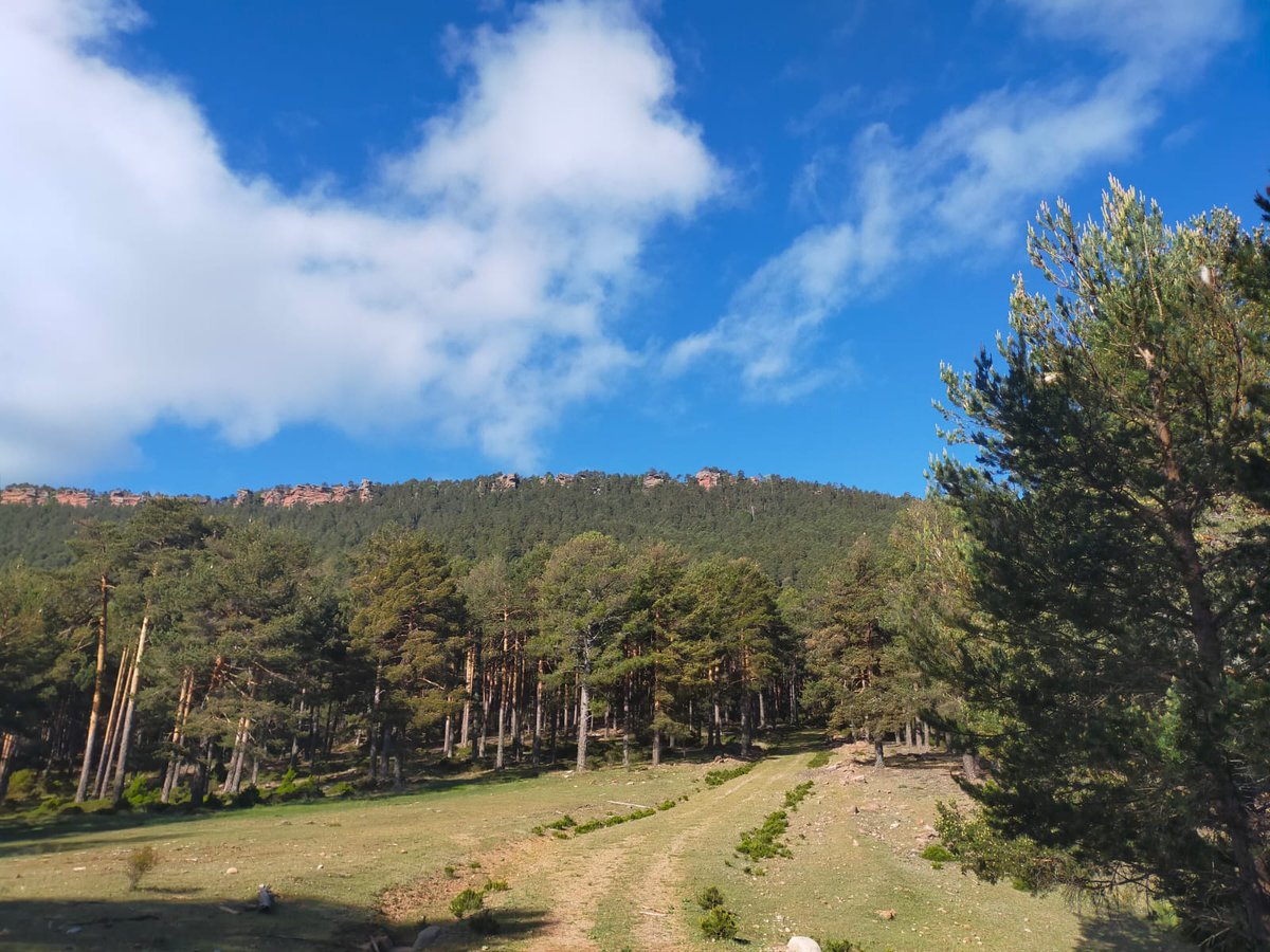 comcu's tweet image. Revisando los trazados del XI Trofeo Serranía de Cuenca.
Valdemeca. 10 y 11 de junio de 2023.