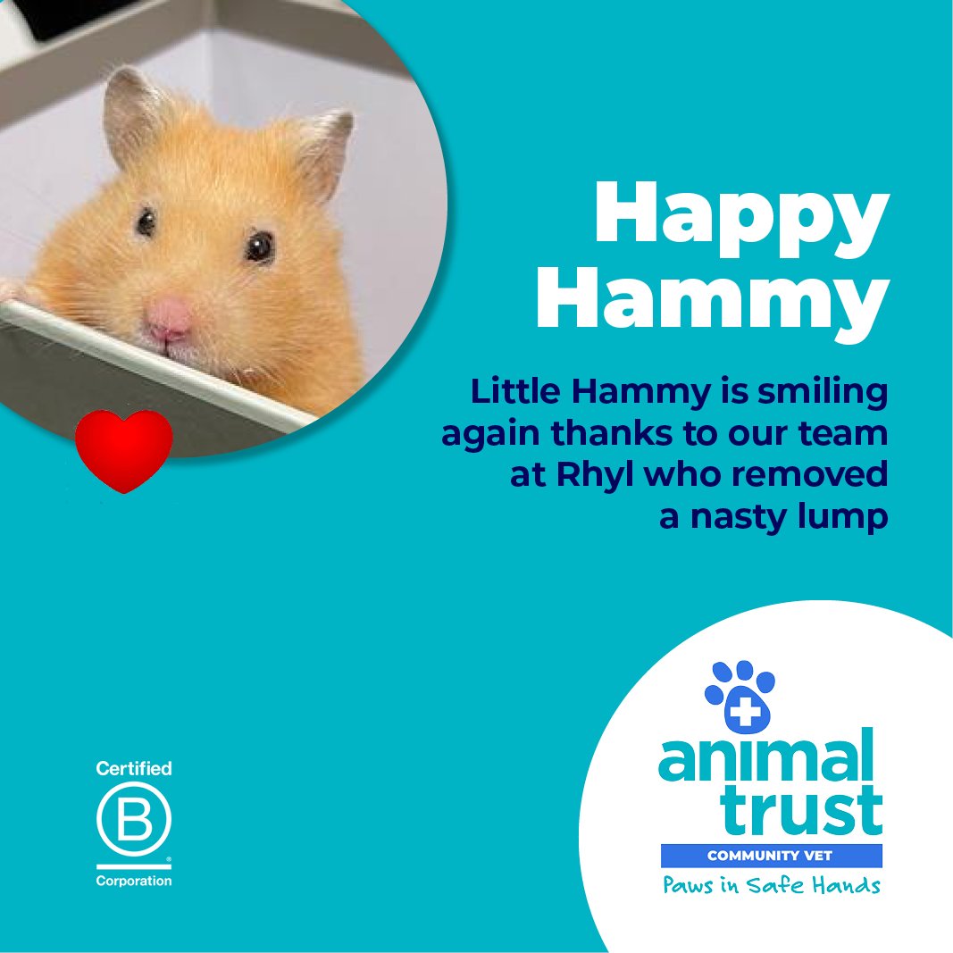 Animal Trust Vets tweet media