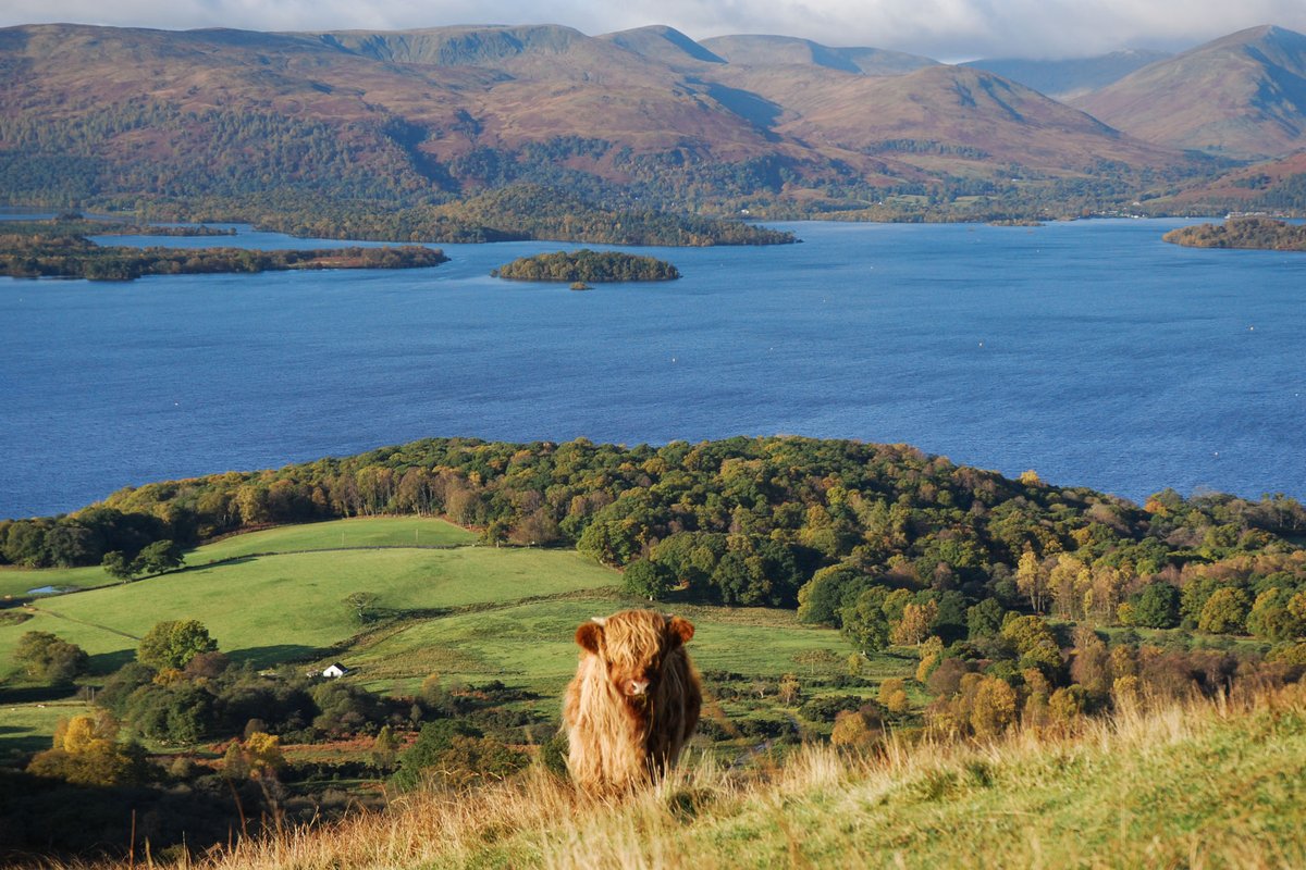 Walking the West Highland Way this year?
Did you know that if you install our app (only available from Walkhighlands website) then you can download all the route stages, detailed descriptions and detailed GPS mapping for the route - for free.