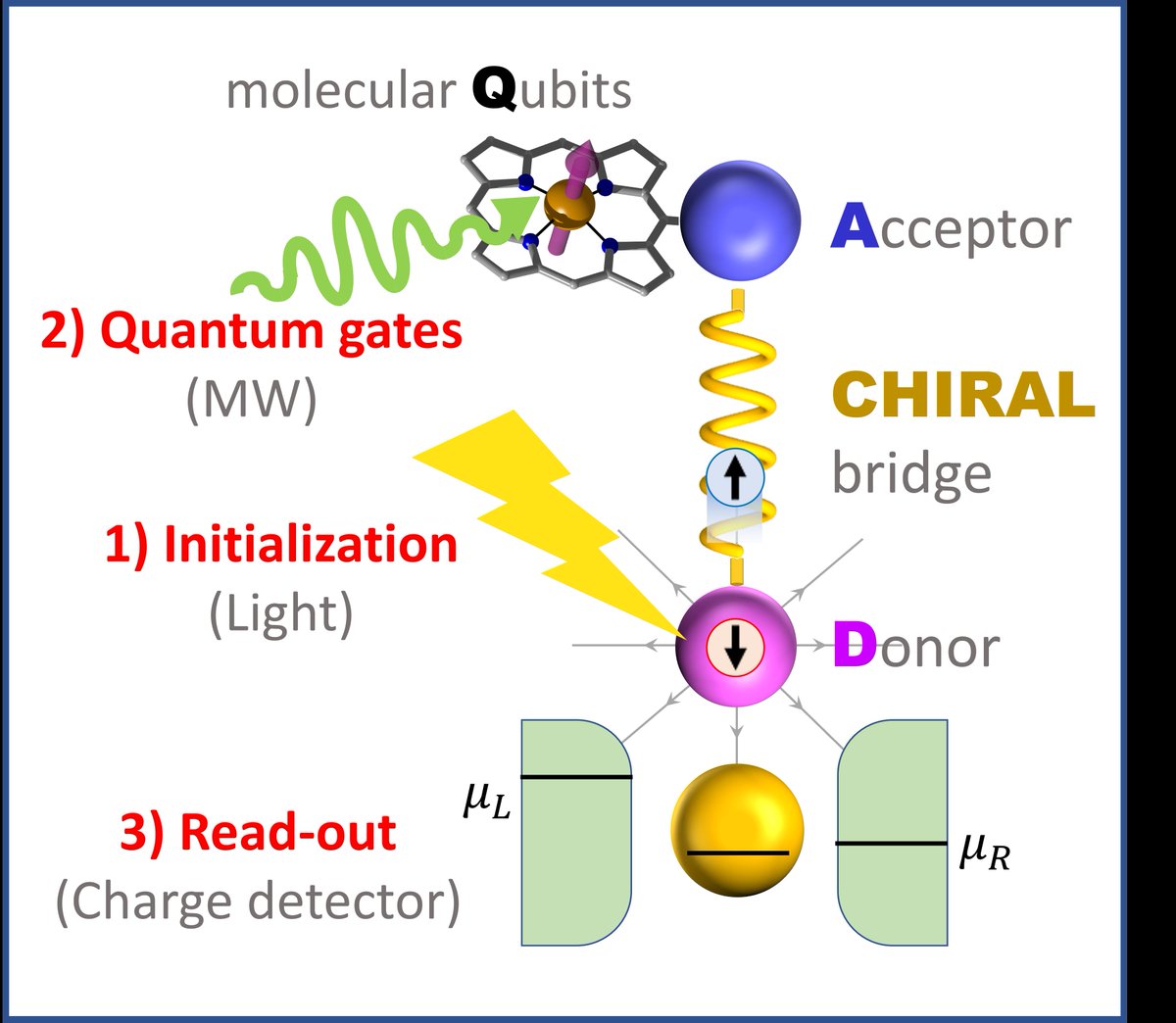 Roberta Sessoli (@rsessoli) on Twitter photo In Advanced Materials doi.org/10.1002/adma.2… a road map of the ERC-Synergy CASTLe project on chirality and spins for quantum technologies drawn with Stefano Carretta & team <a href="/unipr/">Università di Parma</a>, Mike Wasielewski <a href="/NorthwesternU/">Northwestern</a>, Robert Bittl <a href="/FU_Berlin/">Freie Universität</a>, and Ron Naaman <a href="/WeizmannScience/">Weizmann Institute</a> In Advanced Materials doi.org/10.1002/adma.2… a road map of the ERC-Synergy CASTLe project on chirality and spins for quantum technologies drawn with Stefano Carretta & team <a href="/unipr/">Università di Parma</a>, Mike Wasielewski <a href="/NorthwesternU/">Northwestern</a>, Robert Bittl <a href="/FU_Berlin/">Freie Universität</a>, and Ron Naaman <a href="/WeizmannScience/">Weizmann Institute</a>