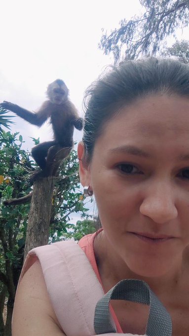 the moment just before Emilio jumped on my head 🤣 #Monkeys #pets #LoveinTheAir  #ilovemymonkey https://t<a href="/tag/pets"class="tags"><span>#pets</span></a><a href="/tag/monkeys"class="tags"><span>#monkeys</span></a><a href="/tag/loveintheair"class="tags"><span>#loveintheair</span></a><a href="/tag/ilovemymonkey"class="tags"><span>#ilovemymonkey</span></a>