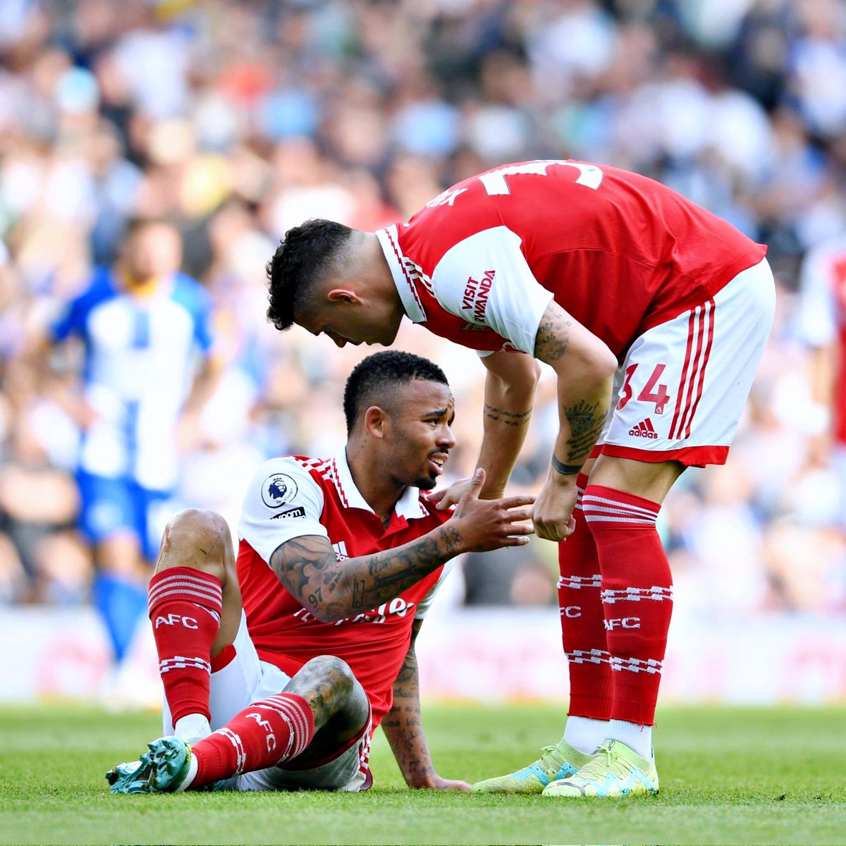 datosfutperu's tweet photo. ¡𝐒𝐈𝐋𝐄𝐍𝐂𝐈Ó 𝐓𝐎𝐃𝐎 𝐔𝐍 𝐒𝐔𝐄Ñ𝐎! 🤫

El Arsenal cayó goleado por 3-0 ante el Brighton y prácticamente le dice adiós a la Premier League. Julian Enciso, Undav y Estupiñán.

📌Los dirigidos por Guardiola🧠 esperan un tropiezo más de ‘Los Gunners’ para proclamarse campeón. https://t.co/qtpIy1YxyD