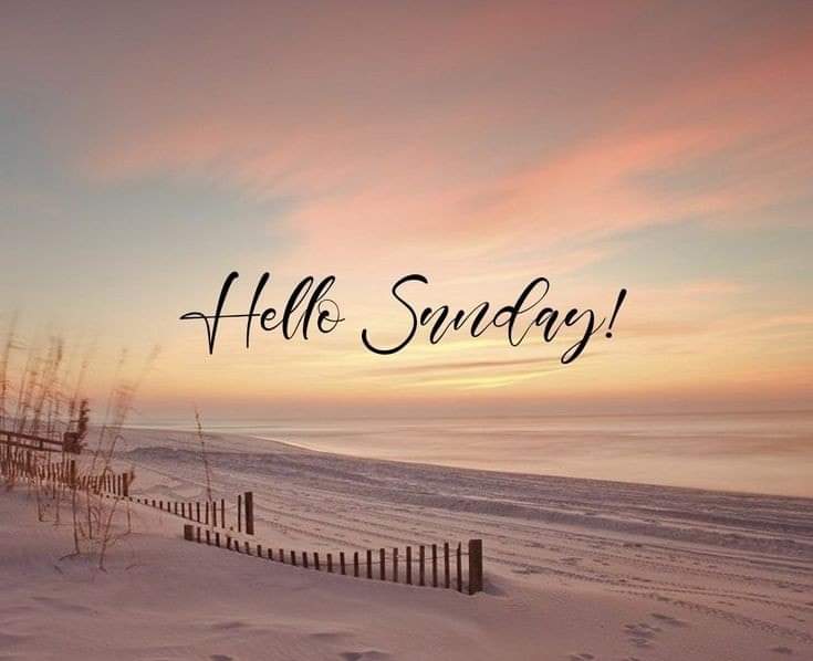 drager_ann's tweet photo. I hope you have a wonderful day 🧡 https://t.co/k3cwrKDUtp