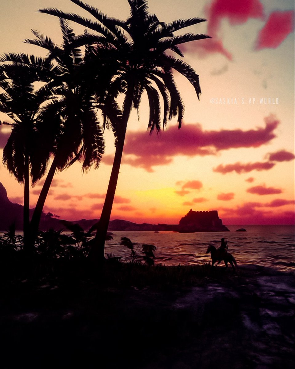 saskiaemmischVP's tweet photo. Beautiful evening on the beach at Guarma

• Red Dead Redemption 2

- #RockstarGames #PlayStation #RedDeadRedemption2 #VirtualPhotography #LandofVP #zarngaming #PSshare 

- #nature #landscape #sunset #guarma #shilouette #beach #palms https://t.co/JCVWWBvpBD