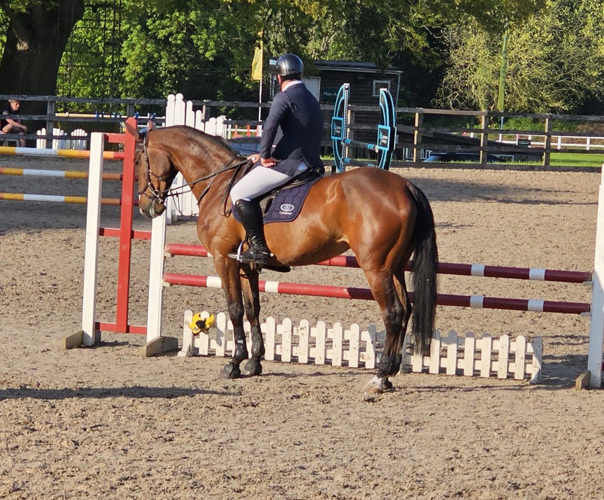 JessWestwood's tweet image. Something slightly different, my first homebred (sports horse) came 2nd in her first BS outing yesterday! She is an exciting horse for the future of Show Jumping. #ShowJumper #Homebred #DreamingOfOlympics