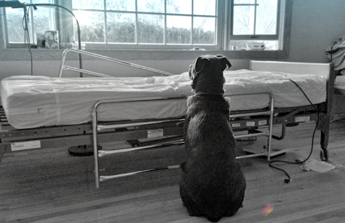 ― "Si muero antes que mi perro, quisiera pedir permiso para poder regresar y poder despedirme, para que mi pequeño sepa que Dios me ha llamado y que no lo he abandonado.

Quiero que él quede en las mejores manos y decirle que lo estaré esperando.
Quiero darle un último beso, un