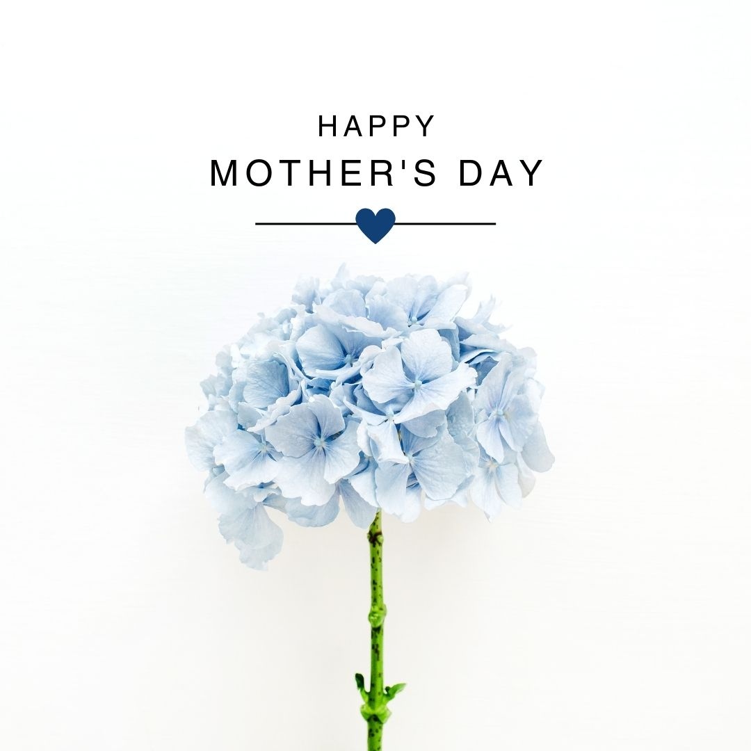 cci-SouthSaskatchewan (@ccisouthsask) on Twitter photo 