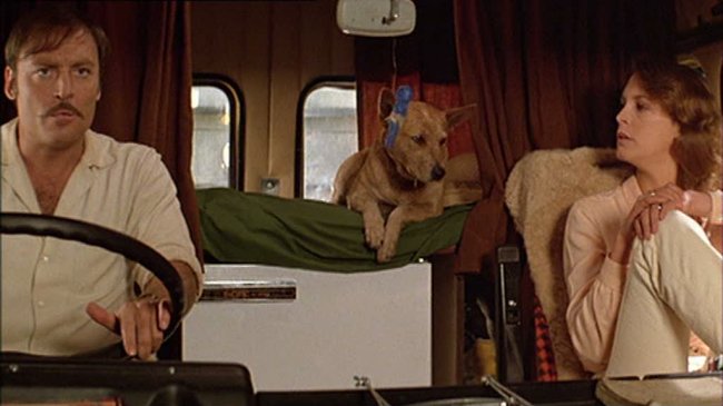 'Roadgames' (1981) is Quentin Tarantino's favorite Ozploitation film that takes you on a thrilling ride through the Australian outback. Join Jack and his dingo companion as they watch fellow travelers through his truck's rearview mirror, inspired by Hitchcock's 'Rear Window.'