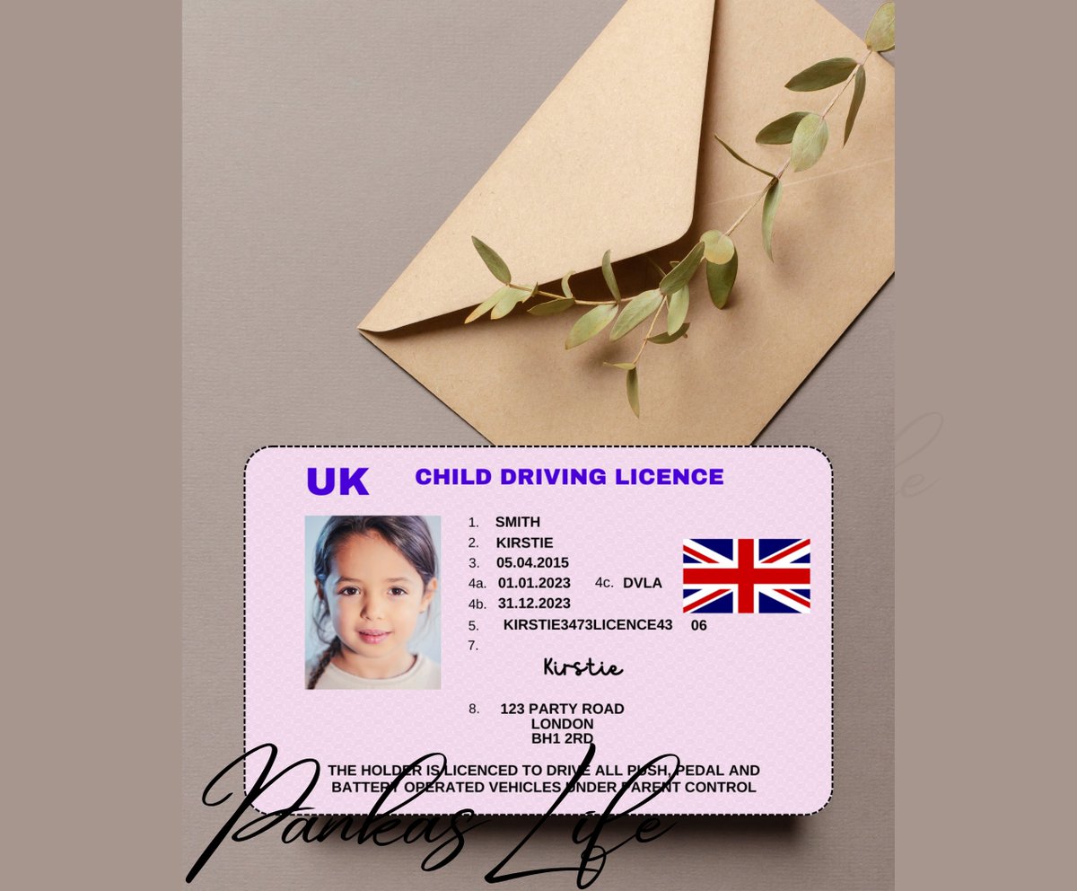 Printable Kids Toy Driving Licence

#printables #pretendplay #drivinglicence #ukdriverlicence
#fakedriverlicence #kidstoys #pankaslife #etsyshop