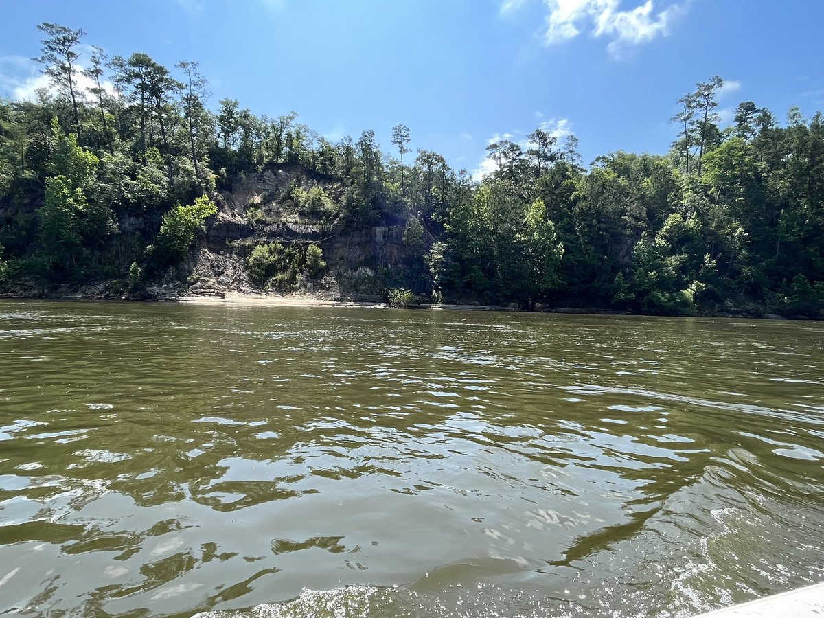 Saturday fun on what I hope will be the first of many FSU paleo field trips with some great grad students exploring Miocene mollusks along the Apalachicola River! Huge thanks to the Florida Geologic Survey for showing us a great time!!