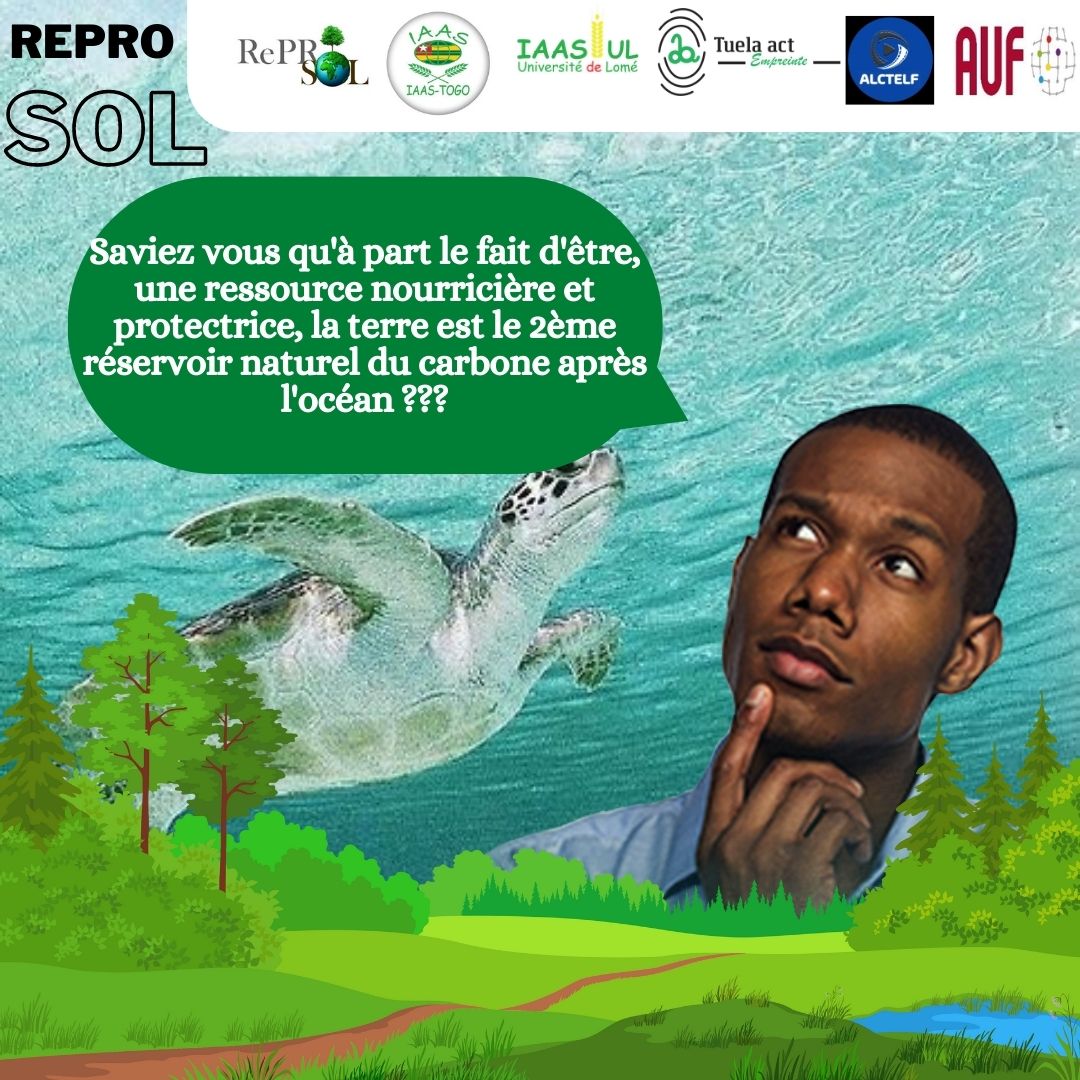TuelaAct's tweet photo. La terre joue un rôle important dans la capture et le stockage du carbone atmosphérique. À l’abri de la dégradation, les sols, véritables puits de carbone naturels, pourraient en capter et en stocker davantage. https://t.co/qbttvN70sM