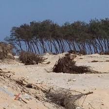 Celles et ceux dont les noms sont cités dans la dilapidation de la #bandesdesfilaos doivent s’expliquer devant le peuple ! À commencer par l’Etat qui a mortellement declassifié la zone.
Bandes de rapaces !