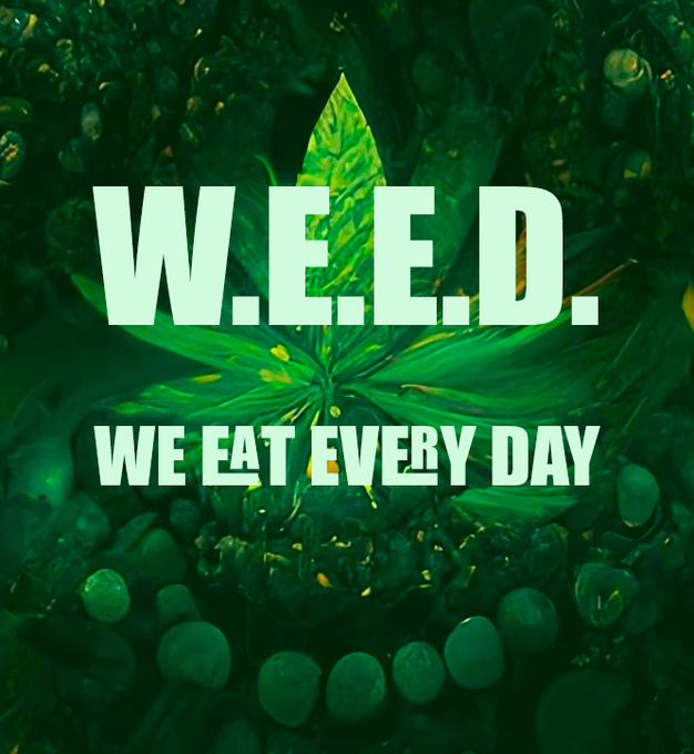 Gengesito's tweet photo. Se acaba la #FantasyLegends con #WeEatEveryDay como campeón, el equipo de @Aluche83 ha hecho una perfomance brutal y se han llevado el torneo.
Muchas gracias a todos por participar y nos veremos muy pronto.
GG al equipo de WEED https://t.co/zSkV9VFHaq