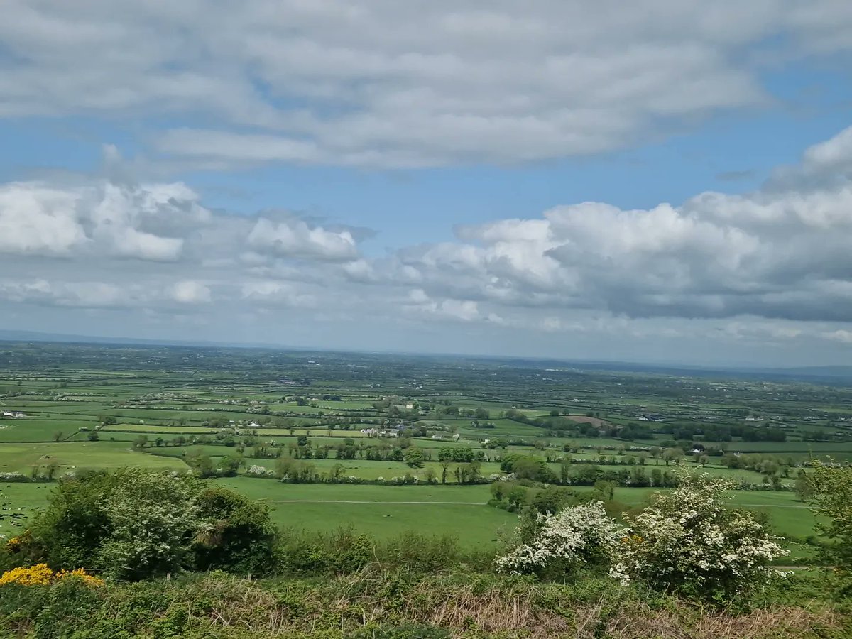 Siobhan Scanlon tweet media