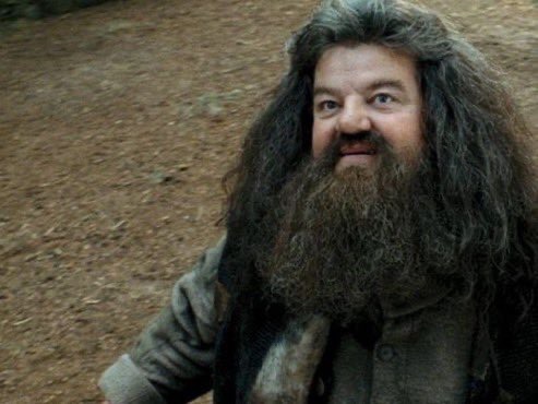 TheDailyHPotter's tweet photo. “There’s no Hogwarts without you, Hagrid” 🥺 https://t.co/4MIBxREsDA
