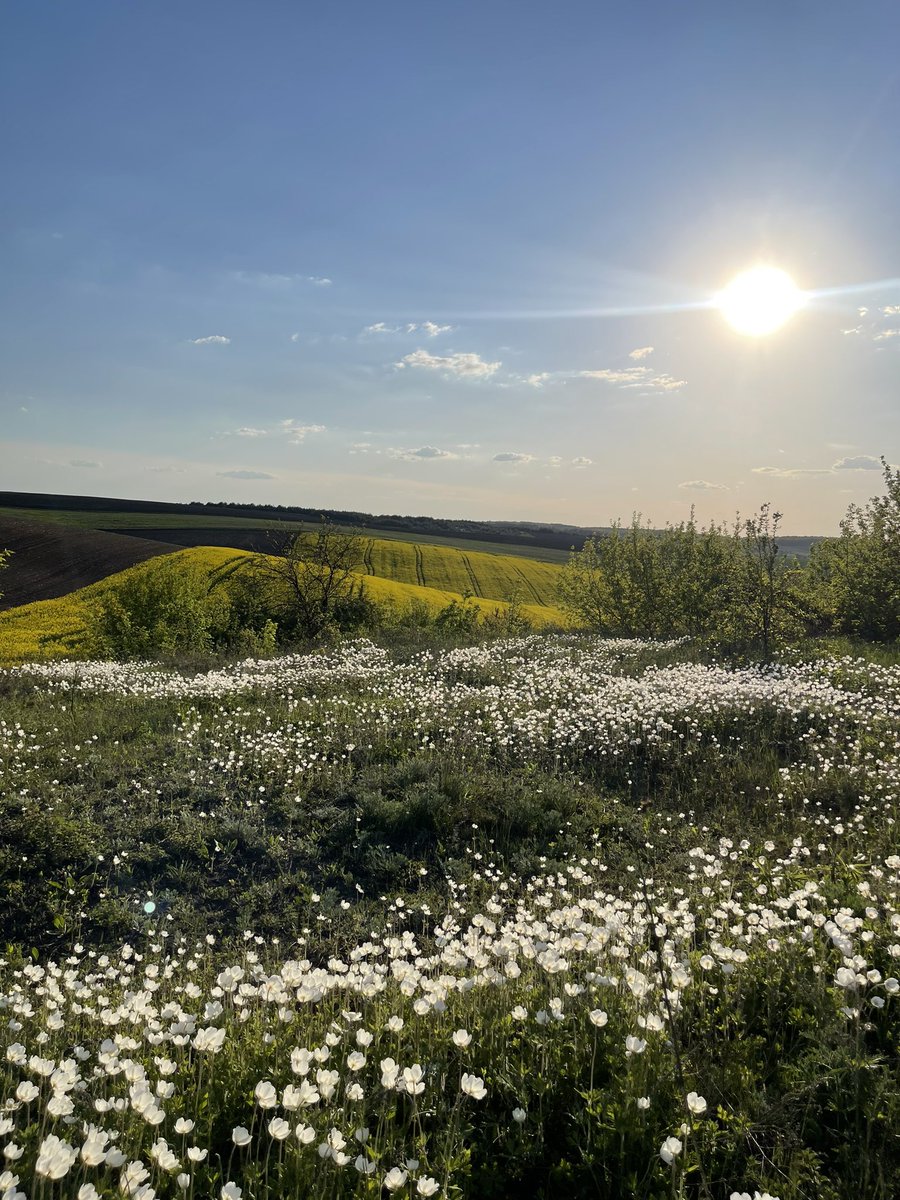 Знаю, що перетворюю твіттер на суцільний інста. 
Але ж ви тільки подивіться! Яка наша Україна гарна🥹