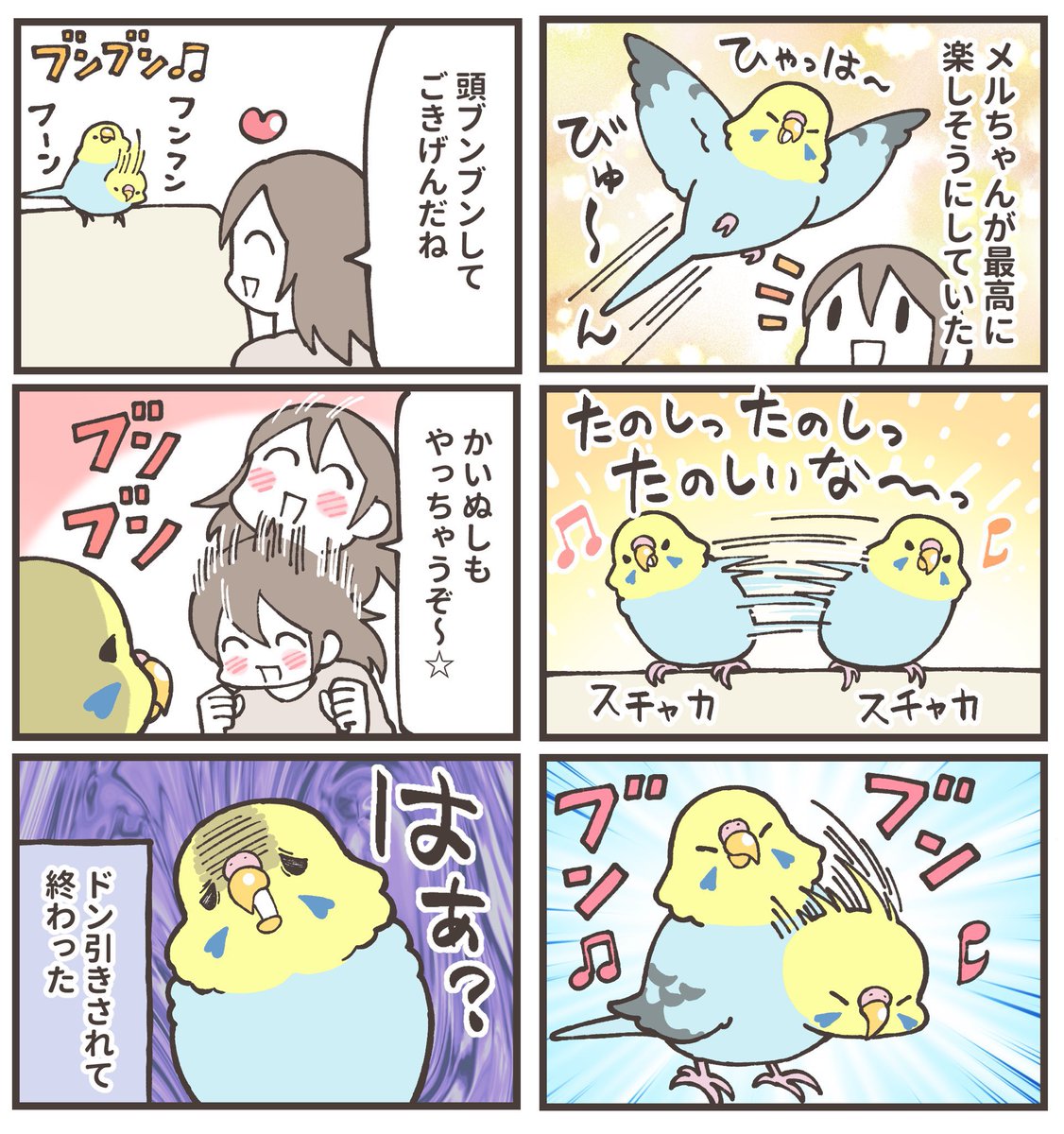 セキセイインコがトレンド入り!😃🦜 かわいいセキセイ女子メルちゃんマンガをどうぞ✨