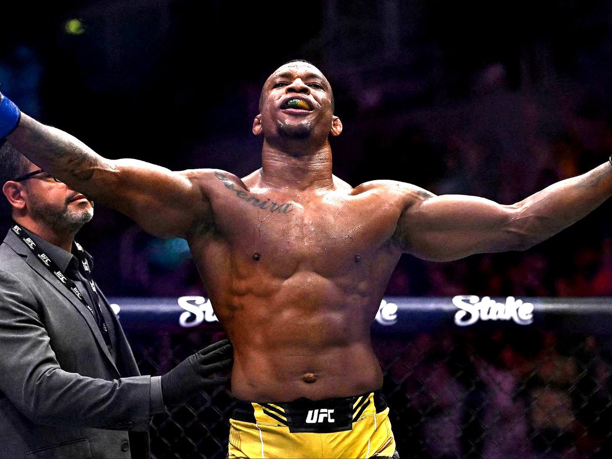 The Octagon Obsessed tweet media