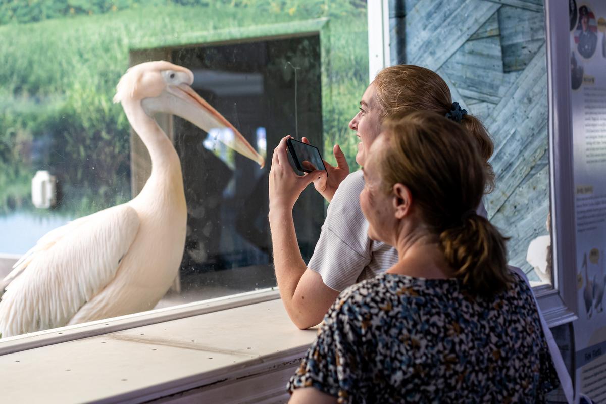 Clearwater Aquarium on Twitter "Happy MothersDay from all of us at Clearwater Marine Aquarium