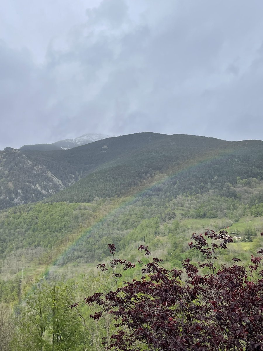 baronuria21's tweet photo. L’arc de Sant Martí a #Queralbs, el Salt del Grill i el paisatge verd després de les pluges 🌈 🌧️ 🌿 #ElTempsTV3 https://t.co/P0XsjmezYU