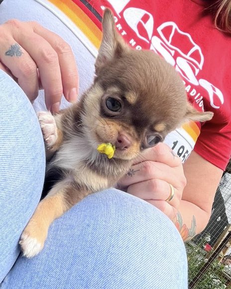 Trish Quenby 💙 (@trishquenby) on Twitter photo 