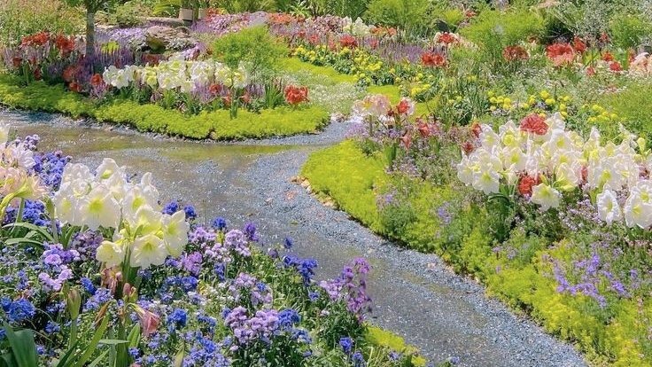moodyonmoon's tweet photo. "Do remember they can't cancel the spring" https://t.co/Ovl4YwsVwP