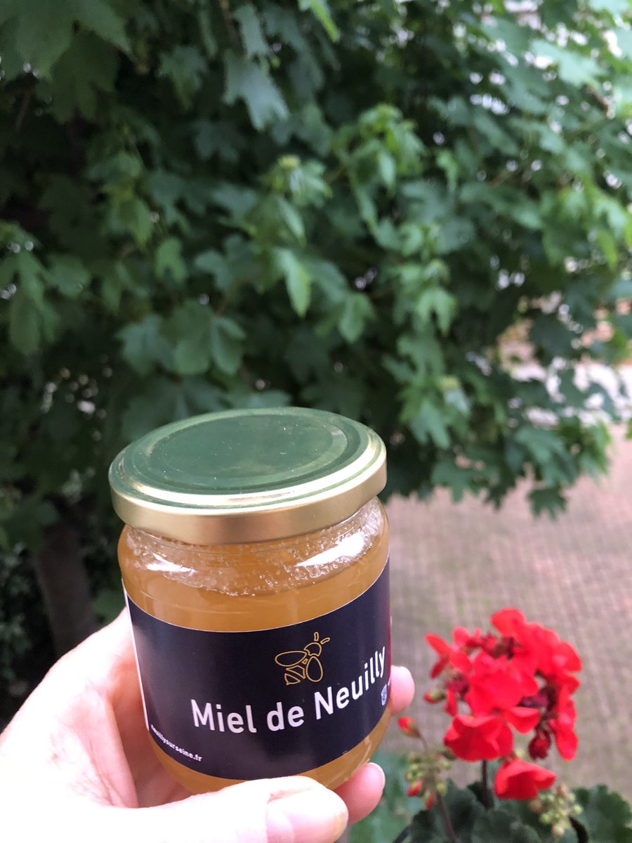 ConstanceLeGrip's tweet photo. Dernières heures pour faire un tour au #SalonduVégétal à #Neuilly ! La Ville de Neuilly et le végétal, une longue histoire ... #pommedeterre #Parmentier #Sablons https://t.co/E5AAbWQDXK