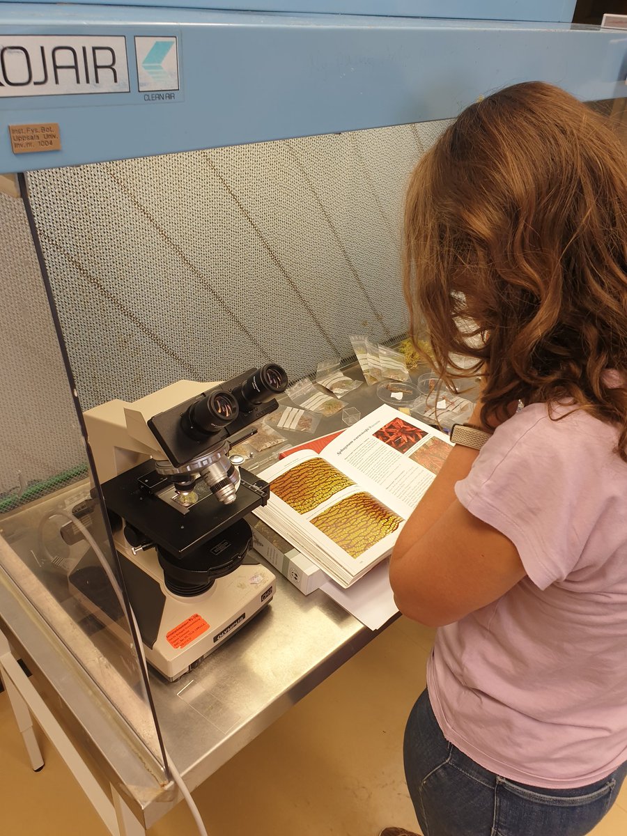 J M Barel 🟥 tweet media