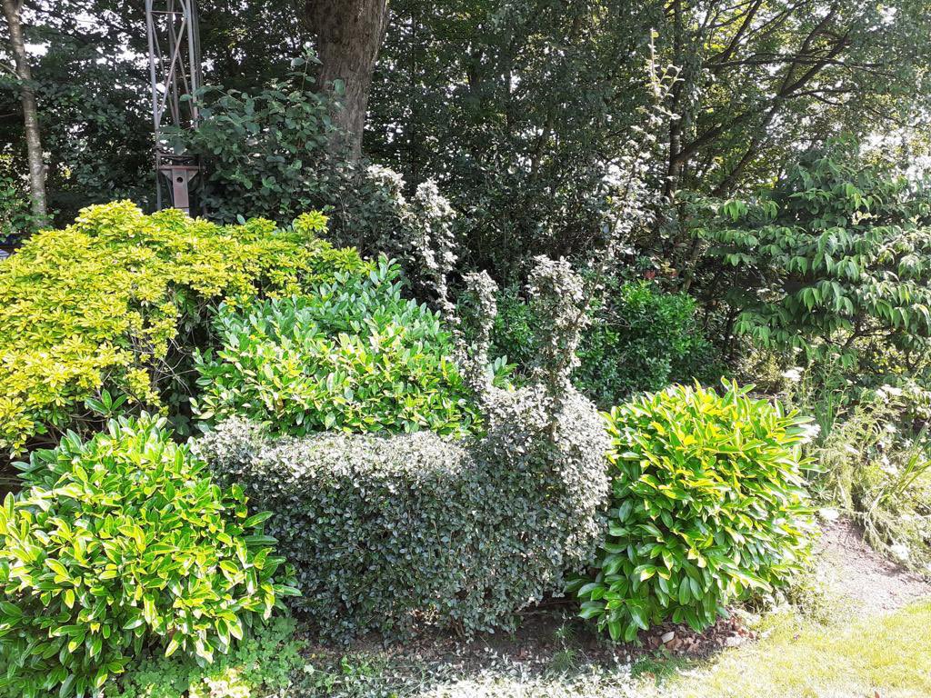 Nick Atkinson (@nicknatkinson) on Twitter photo In honour of World Topiary day, L2 completed apprentice Tom’s creation #WorldTopiaryDay <a href="/OldhamCollege/">Oldham College</a> In honour of World Topiary day, L2 completed apprentice Tom’s creation #WorldTopiaryDay <a href="/OldhamCollege/">Oldham College</a>