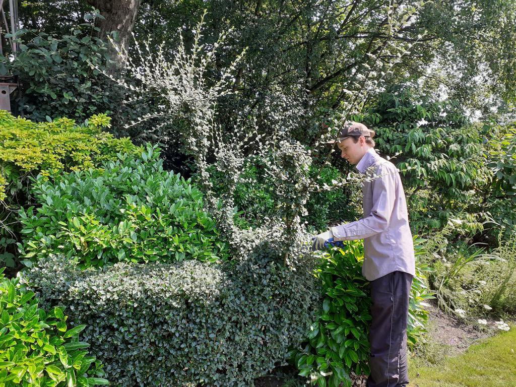 NickNatkinson's tweet photo. In honour of World Topiary day, L2 completed apprentice Tom’s creation #WorldTopiaryDay @OldhamCollege https://t.co/ORUGXwEcig