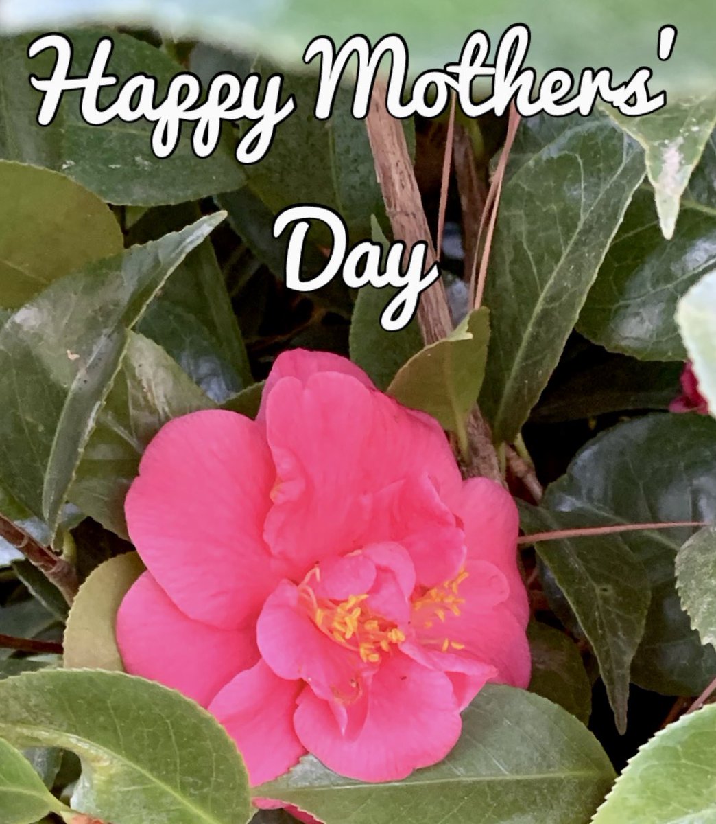 <a href="/PineLevelES/">PineLevelES</a> wishes a #HappyMothersDay to all of our Mom’s and all those that serve in that role for our students.  

Happy Mother’s Day!!