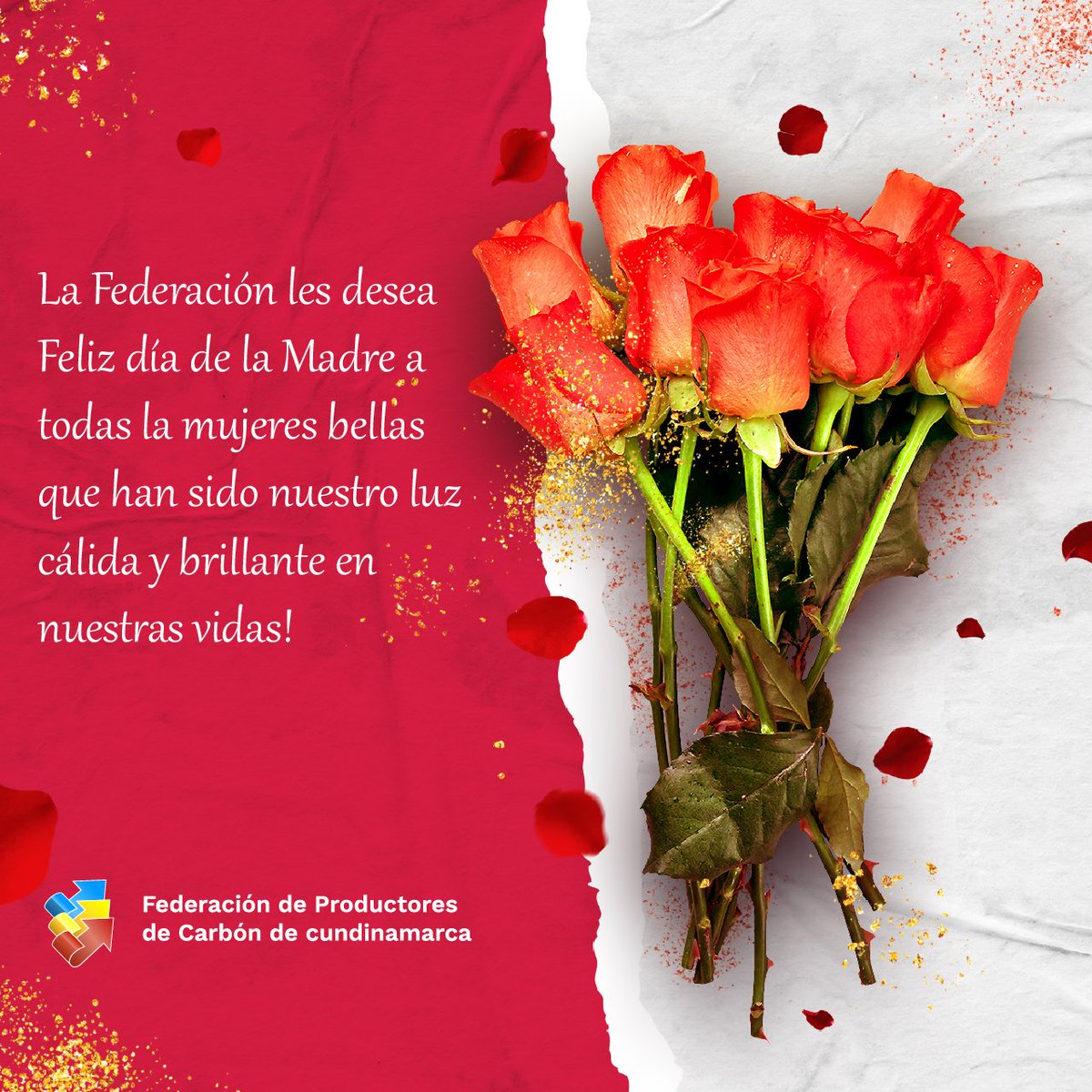 FedecundiC's tweet photo. La Federación les desea Feliz día de la Madre a todas la mujeres bellas que han sido nuestro luz cálida y brillante en nuestras vidas! https://t.co/A9dFSuXnpC