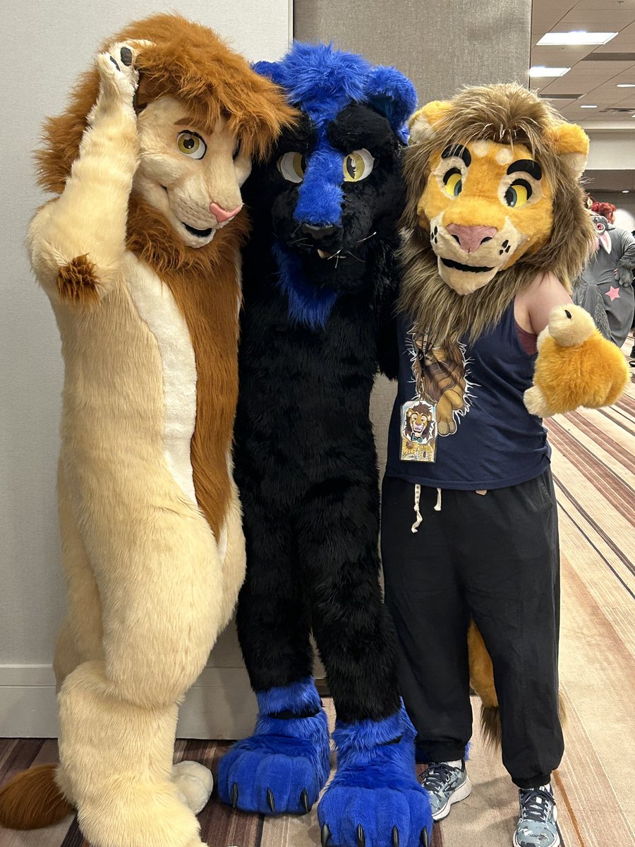 LoafingLion's tweet photo. Adding this pic! Idk the blue lion bros Twitter/if he has one, but he and his fiancée were really nice! https://t.co/Wm4SMZ3L46