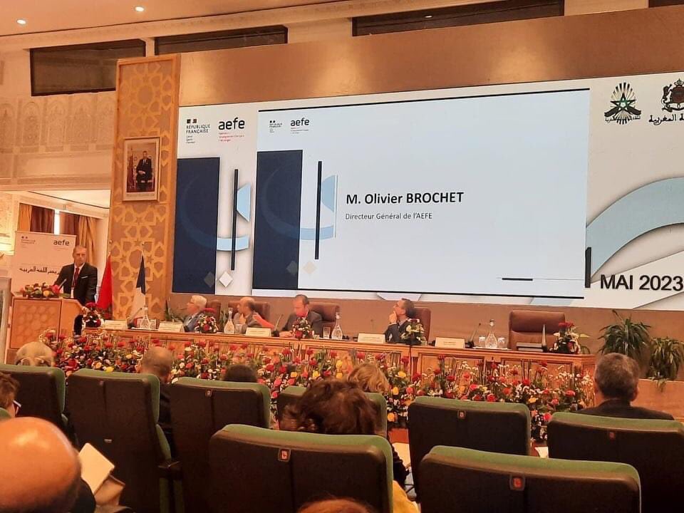 lfiamman tweet media