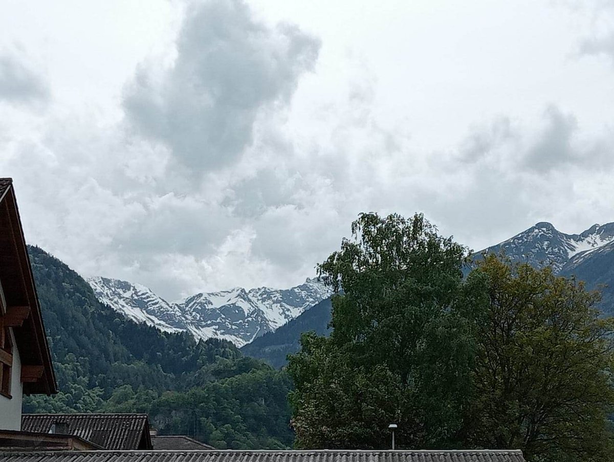 Hosszu Puska (@gnompincser) on Twitter photo 