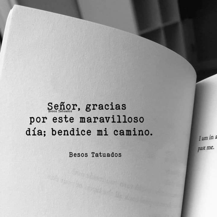 #DíaDeLaMadreEnAmor 
En la vida..Elige caminar con aquellos 
que iluminen tu sendero🤍

<a href="/jesus372333/">mildre</a> <a href="/poderdigital812/">poderdigital812</a> 
<a href="/poderdigital813/">poderdigital813</a> <a href="/poder812/">poder812</a> 
<a href="/patriona52/">patriona52</a> <a href="/flor1730/">Teresa Velázquez</a> <a href="/paz1730/">alejandro</a> 
<a href="/cpmarp21/">CpMarp21 🐾🐾</a> <a href="/nesyhu2/">nesyhu2</a> <a href="/carynes603/">carynes603</a> 
<a href="/SilviaF50548878/">Silvia Fernandez 🤗</a> <a href="/IralisailC/">Iralisail. Carballo</a> <a href="/MirnaGiralit/">Mirna Giralit Olivero</a> <a href="/chande5035/">chande</a> 
<a href="/kristof8419/">kristofer</a>