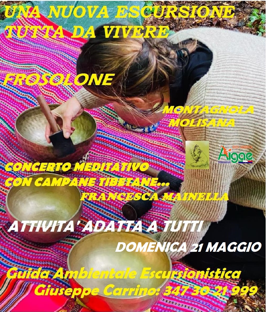 GiupyCarrino's tweet photo. #Italy #Storia #Concerto #CampaneTibetane #Tibet #TurismoEsperienziale  #Natura #Escursionismo #Trekking #Hiking #Landscapes #Wonderful #Wild #Animals #NatureDay #Wood #Boschi #History #Nature #Pinetree #Family #Colors #GuidaAmbientaleEscursionistica #GuidaAigae #Experience #Rock https://t.co/7Y81VYbKzB