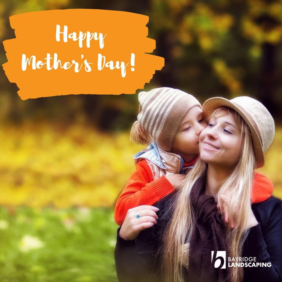 Bayridge Landscaping (@bayridge1984) on Twitter photo 