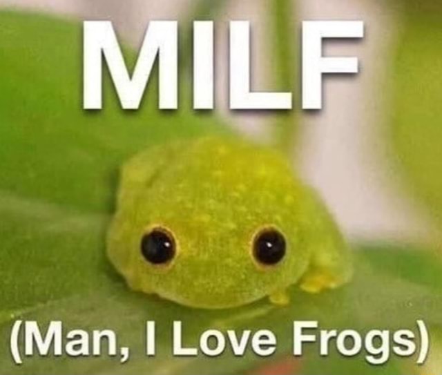 MILFs are the best things!