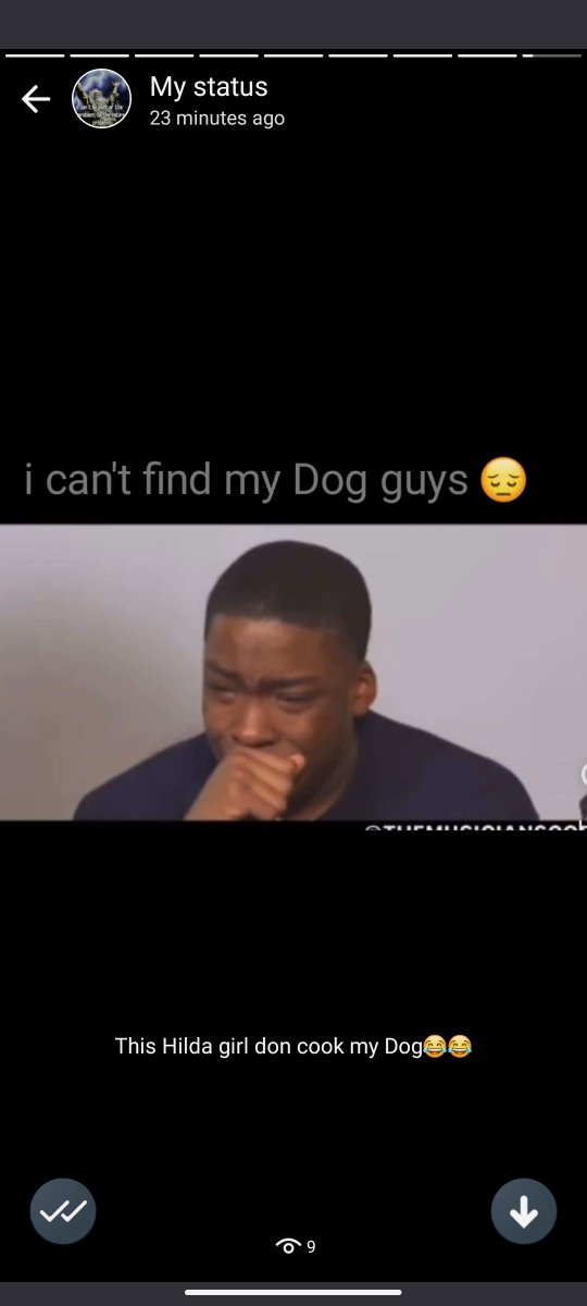 FunQuest e-Sport tweet media