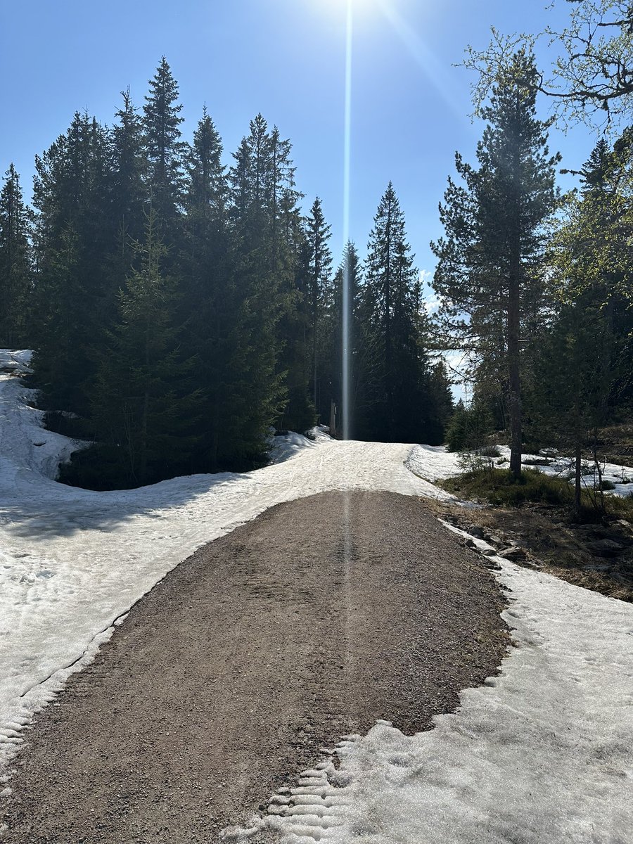 Skjennungstua tweet media